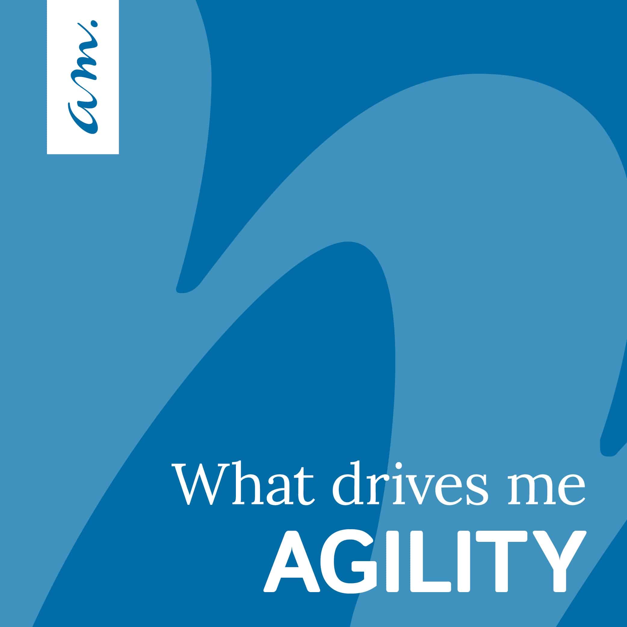 What drives me: Agility